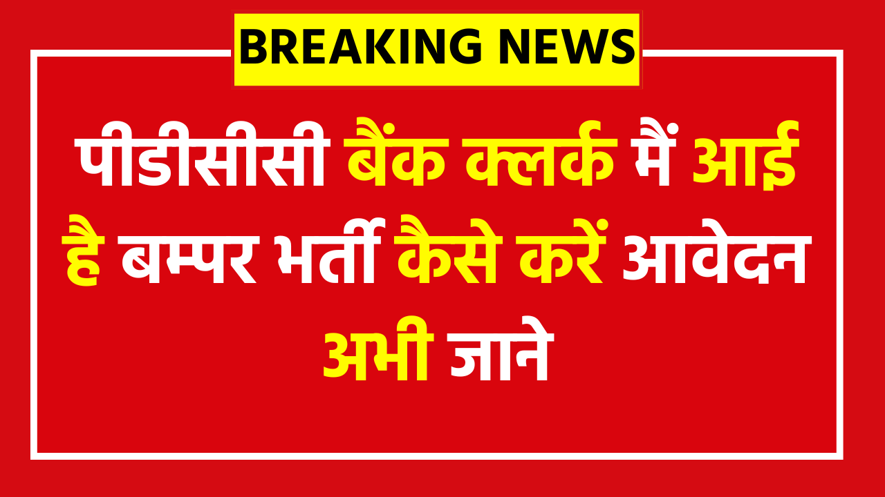 PDCC Bank Clerk Vacancy 2025 - 434 Posts - Apply Now