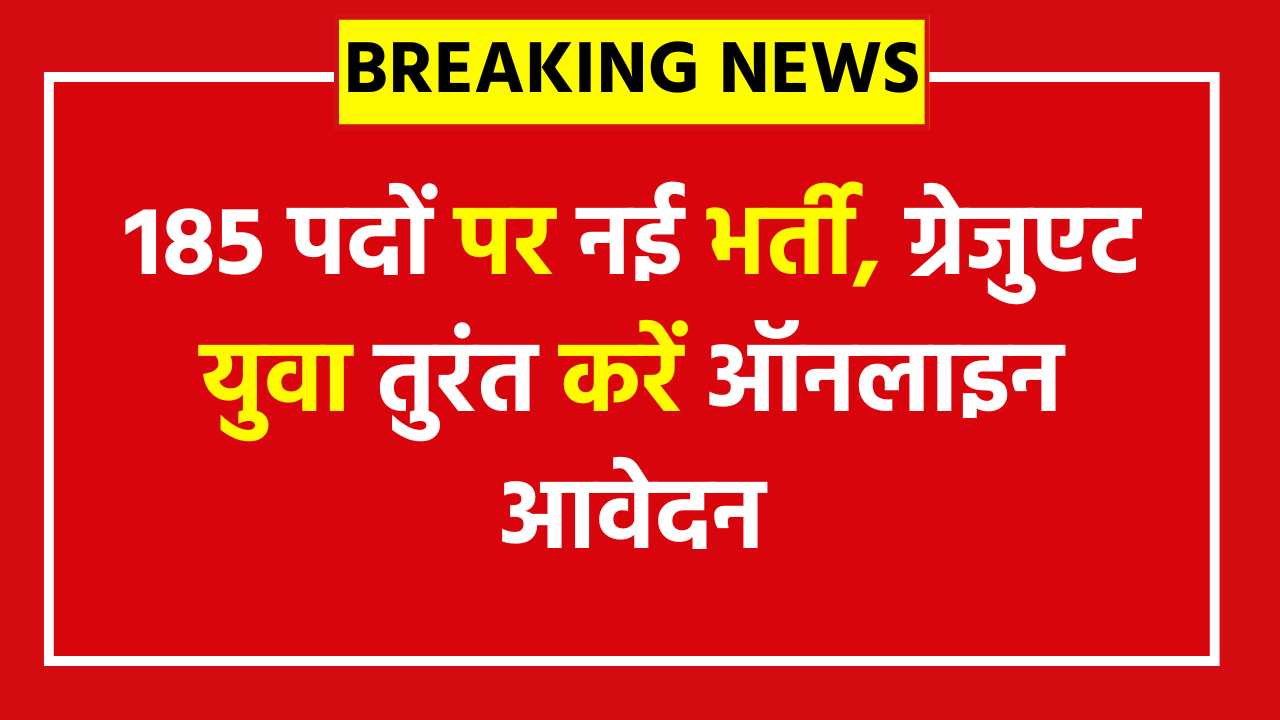 Nainital Bank Online Form 2025 - 185 पदों पर नई भर्ती, ग्रेजुएट युवा तुरंत करें ऑनलाइन आवेदन, जानें योग्यता, फीस, सैलरी, एग्जाम पैटर्न और आखिरी तारीख की पूरी जानकारी