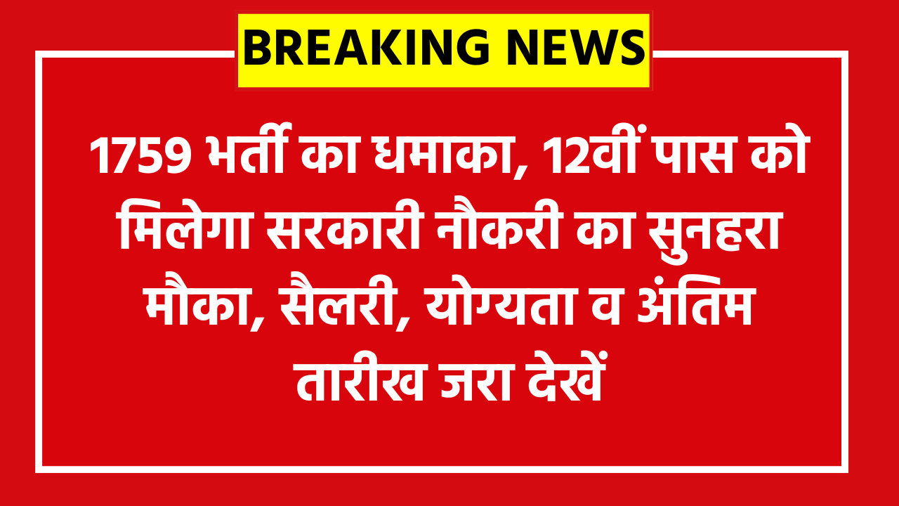 Haryana HSSC Stenographer Online Form 2026: 1759 भर्ती का धमाका! 12वीं पास को मिलेगा सरकारी नौकरी का सुनहरा मौका, सैलरी, योग्यता व अंतिम तारीख जरा देखें
