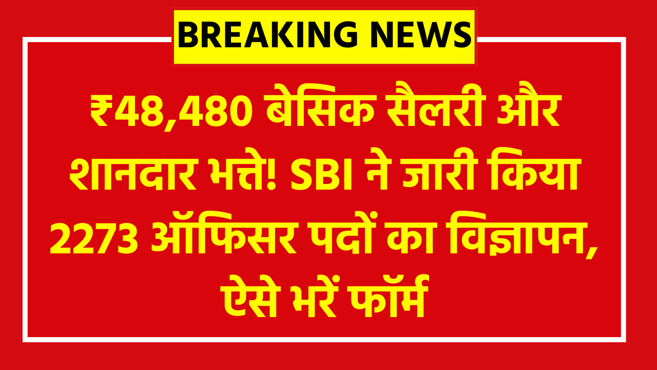 SBI CBO Recruitment 2026 - ₹48,480 बेसिक सैलरी और शानदार भत्ते! SBI ने जारी किया 2273 ऑफिसर पदों का विज्ञापन, ऐसे भरें फॉर्म